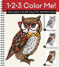 bokomslag 1-2-3 Color Me! (Adult Coloring Book with a Variety of Images - Owl Cover)