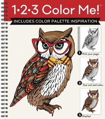 1-2-3 Color Me! (Adult Coloring Book with a Variety of Images - Owl Cover) 1