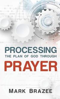 bokomslag Processing the Plan of God Through Prayer
