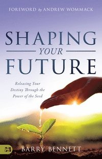 bokomslag Shaping Your Future