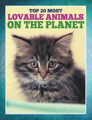 bokomslag Top 20 Most Lovable Animals On The Planet