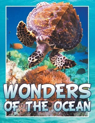 Marshall Koontz - Wonders of the Ocean, Häftad