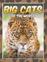 bokomslag Big Cats of the World