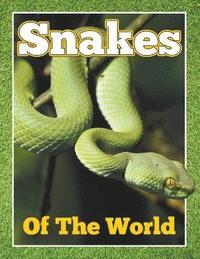bokomslag Snakes of the World