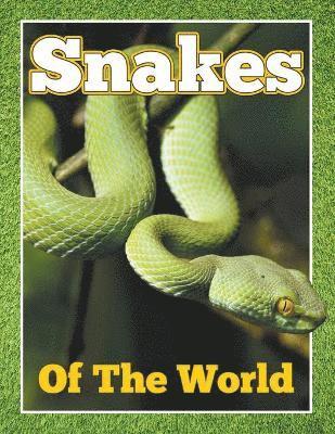 Snakes of the World 1