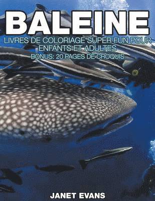 bokomslag Baleine