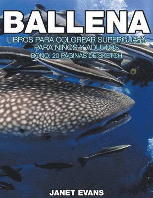 bokomslag Ballena