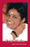 Swamini Krishnamrita Prana - Pyhä Matka, Häftad