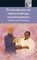 bokomslag The Awakening Of Universal Motherhood