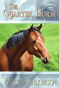 bokomslag Quarter Horse