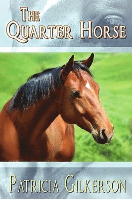 bokomslag Quarter Horse