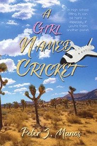 bokomslag Girl Named Cricket