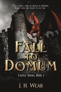 bokomslag The Fall to Domum, Castle, Book 1
