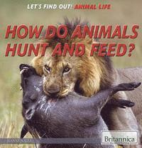 Jeanne Nagle - How Do Animals Hunt and Feed?, Inbunden