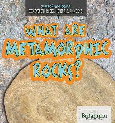 Judy Monroe Peterson - What Are Metamorphic Rocks?, Inbunden
