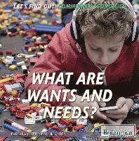 Barbara Gottfried Hollander - What Are Wants and Needs?, Inbunden