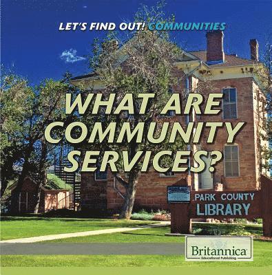 Lisa Idzikowski - What Are Community Services?, Inbunden