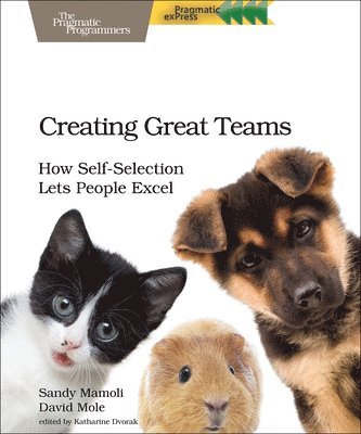Sandy Mamoli, David Mole - Creating Great Teams, Häftad