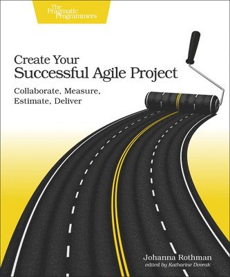 bokomslag Create Your Succesful Agile Project