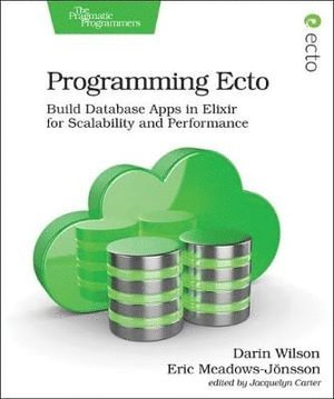 bokomslag Programming Ecto