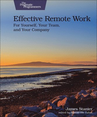 bokomslag Effective Remote Work