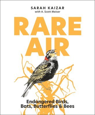bokomslag Rare Air: Endangered Birds, Bats, Butterflies, & Bees