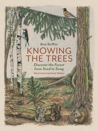 bokomslag Knowing the Trees: Discover the Forest from Seed to Snag