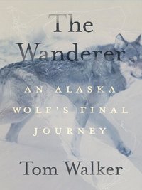 bokomslag The Wanderer: An Alaska Wolf's Final Journey