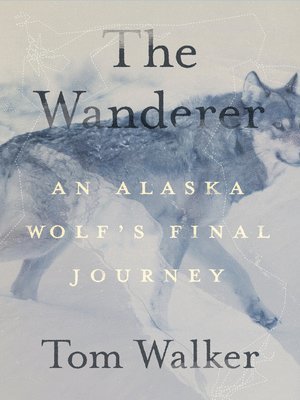 bokomslag The Wanderer: An Alaska Wolf's Final Journey