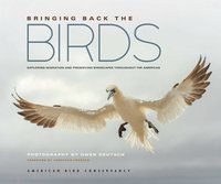 bokomslag Bringing Back the Birds: Exploring Migration and Preserving Birdscapes Throughout the Americas