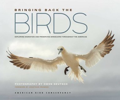 bokomslag Bringing Back the Birds: Exploring Migration and Preserving Birdscapes Throughout the Americas