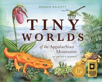 bokomslag Tiny Worlds of the Appalachian Mountains: An Artist's Journey
