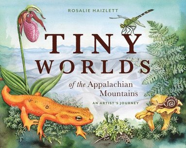 bokomslag Tiny Worlds of the Appalachian Mountains