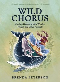 bokomslag Wild Chorus: Finding Harmony with Whales, Wolves, and Other Animals