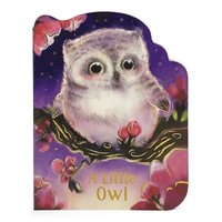 bokomslag A Little Owl