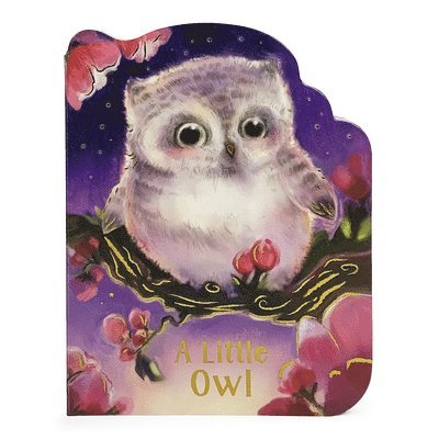 A Little Owl 1
