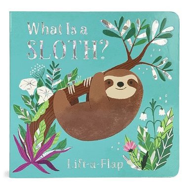 Ginger Swift, Cottage Door Press - What Is a Sloth?, Kartonnage