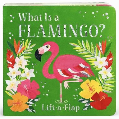 Ginger Swift, Cottage Door Press - What Is a Flamingo?, Kartonnage