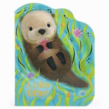 bokomslag A Little Otter