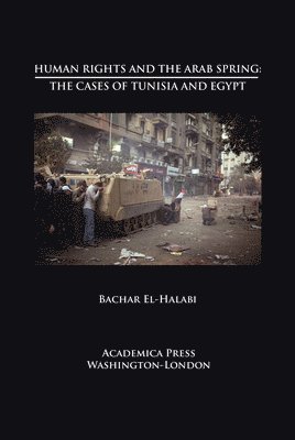 bokomslag Human Rights and the Arab Spring