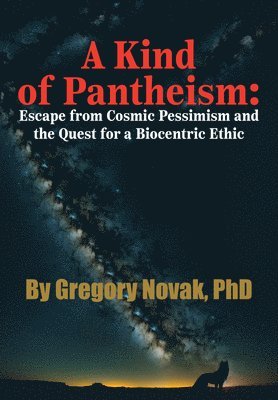 bokomslag Kind of Pantheism