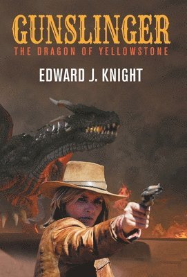 bokomslag Gunslinger