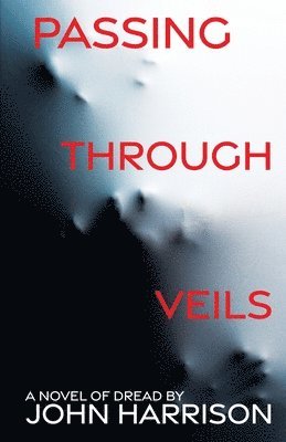 bokomslag Passing Through Veils