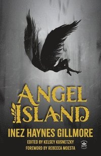 bokomslag Angel Island