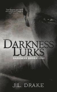 bokomslag Darkness Lurks