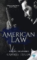 bokomslag American Law