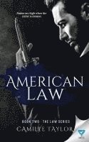 bokomslag American Law