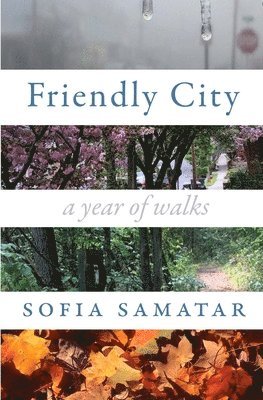 Friendly City: A Year of Walks