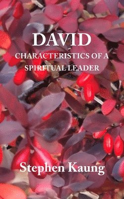 David 1