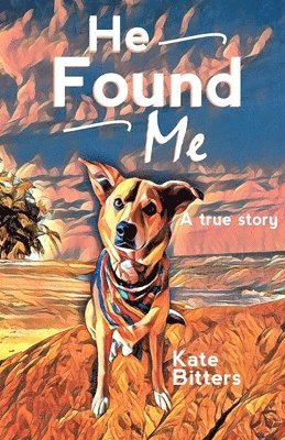 Kate Bitters - He Found Me, Häftad